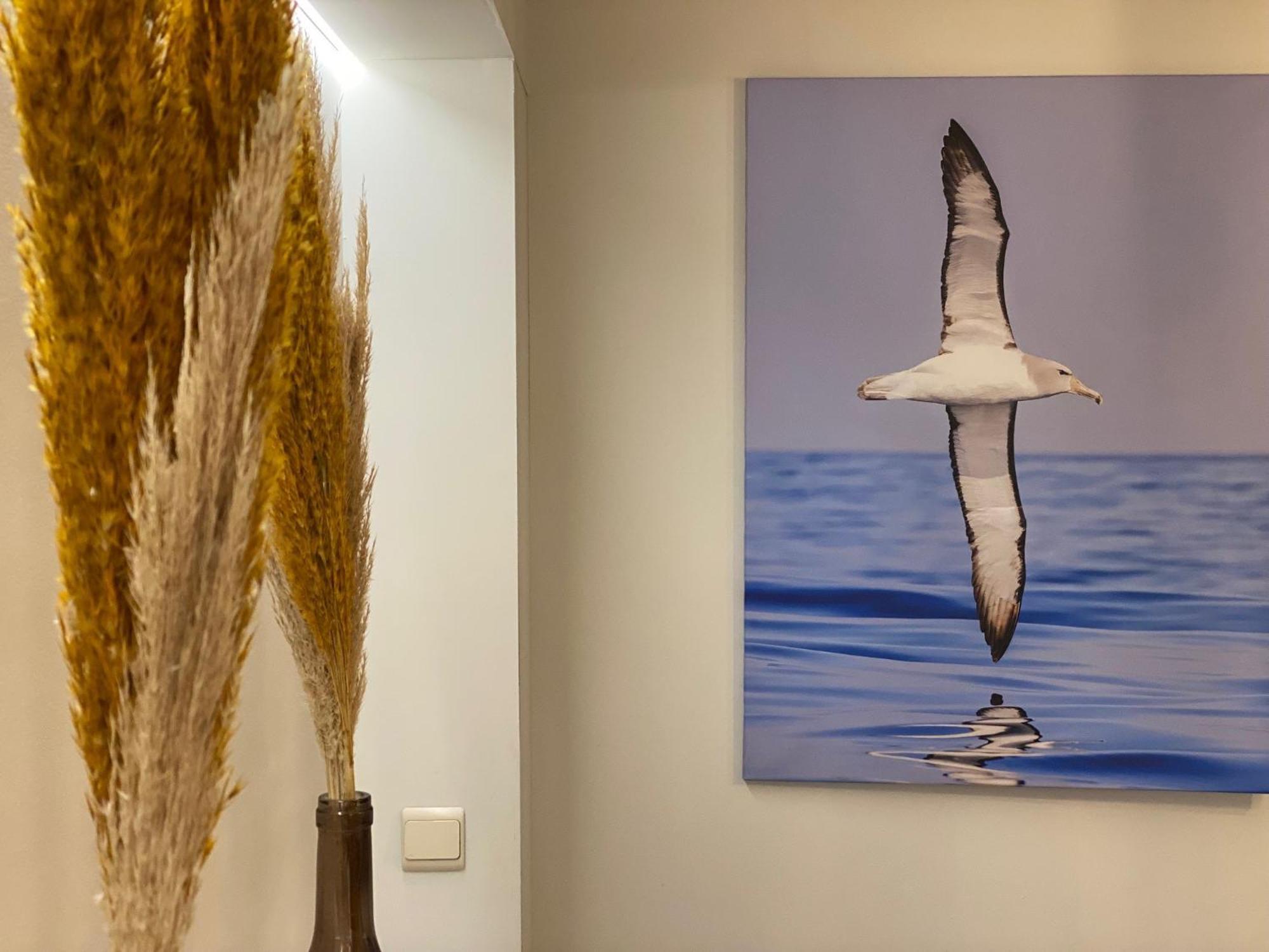 Apartamento Tof En Ruim Op 50 Meter Strand!