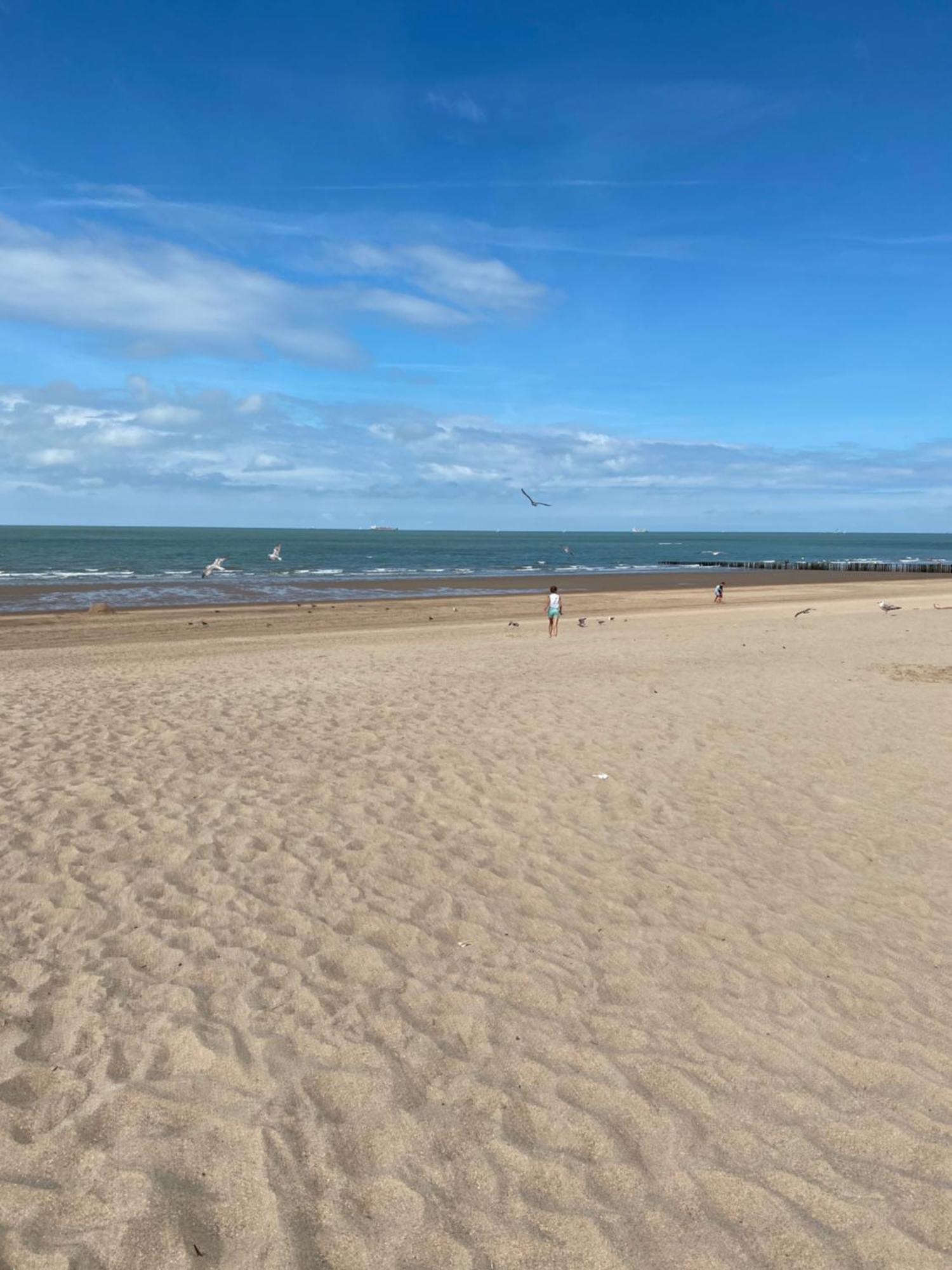 Apartamento Tof En Ruim Op 50 Meter Strand!